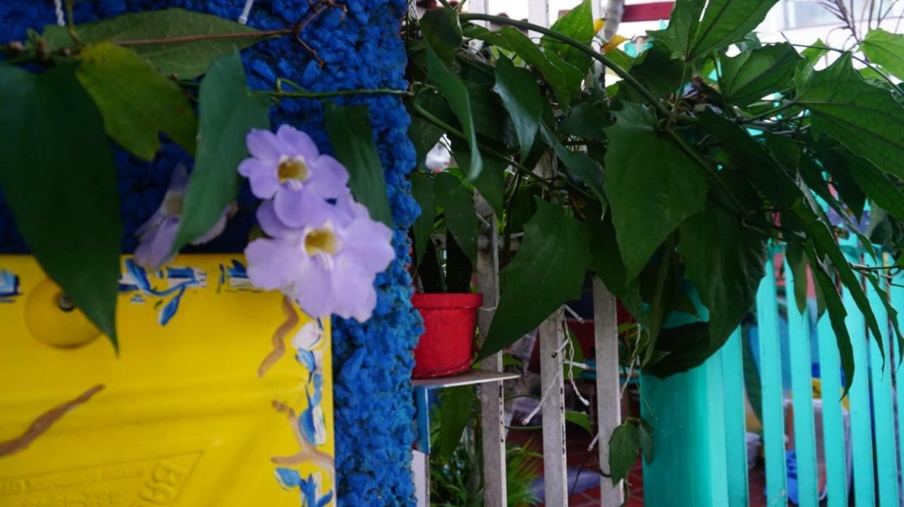 Hostel Tropico De Capricornio - Itagua 우바투바 외부 사진
